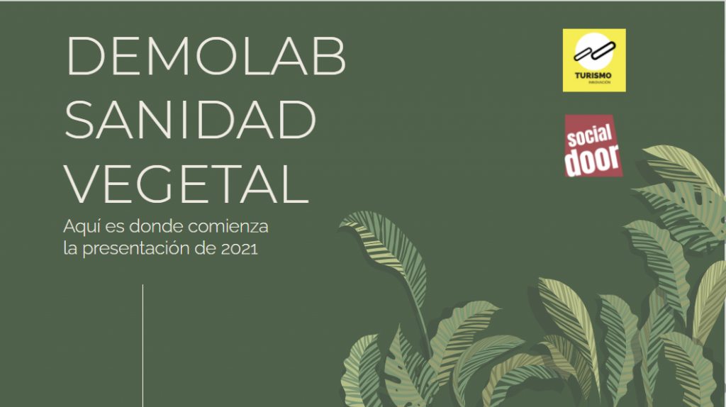 Socialdoor Turismo Digital